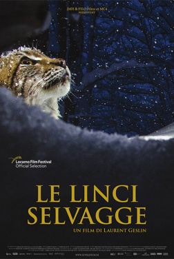 Le linci selvagge (2024)